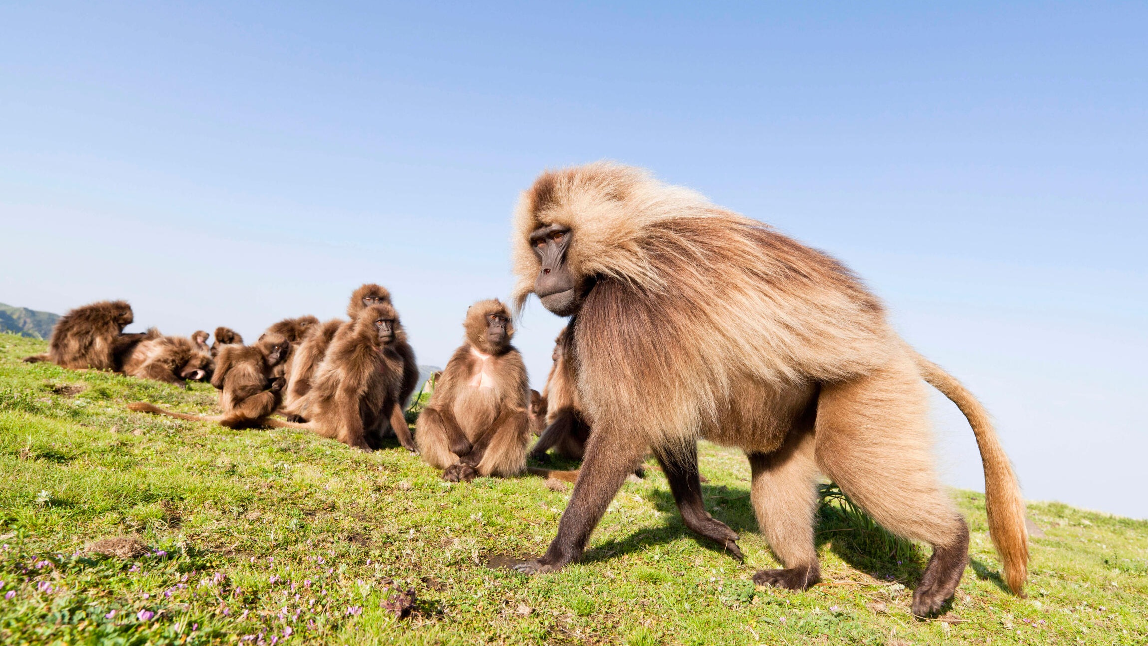Le royaume des nuages Danita Delimont   Alamy